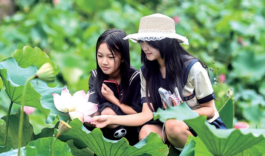 精彩答卷，就在青山绿水间