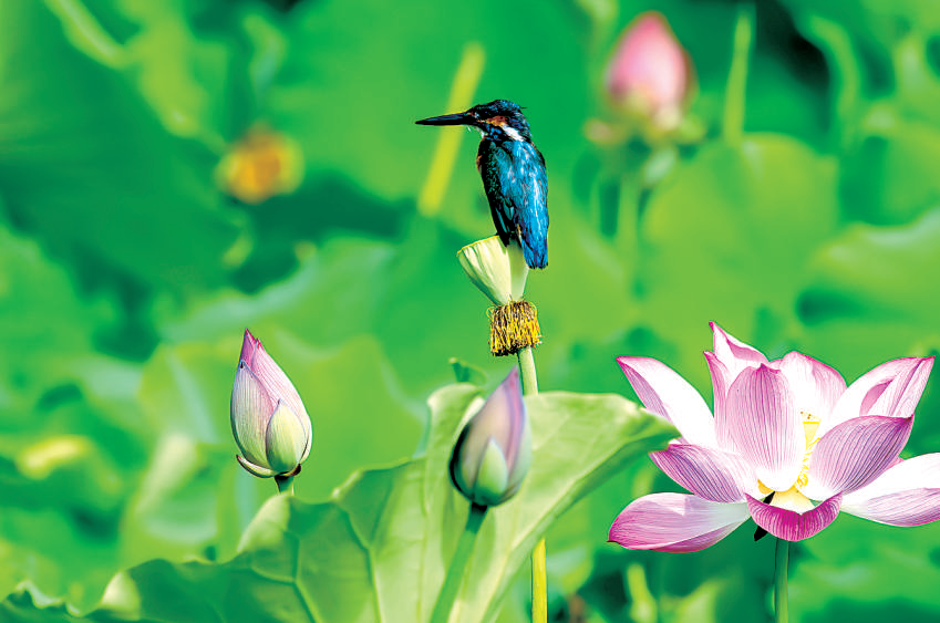 精彩答卷，就在青山绿水间