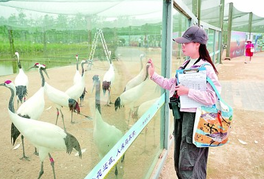 海水更清、海滩更净、湿地更美……